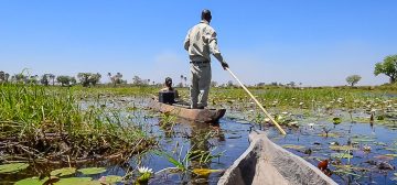 Botswana Comfort met vlucht Okavango Delta